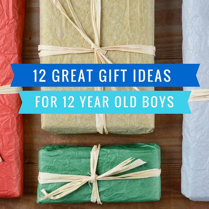 12 Year Old Boy Birthday Gift Ideas
 12 Great Gift Ideas for a 12 Year Old Boy Mom in the City