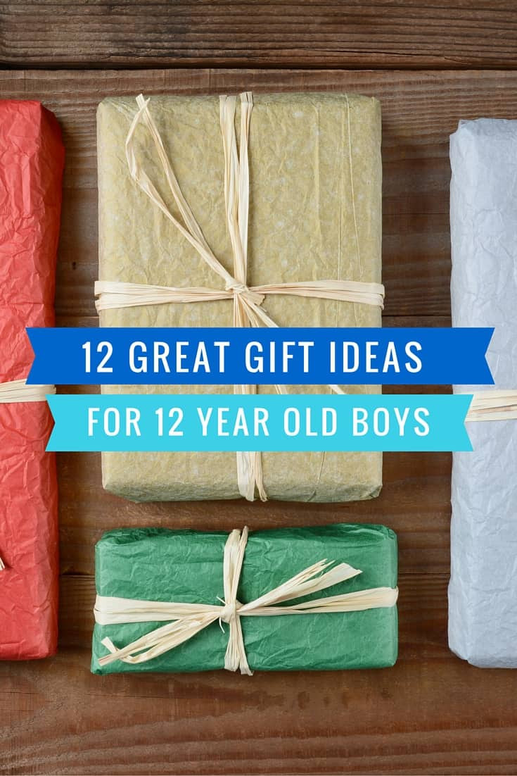 12 Year Old Boy Birthday Gift Ideas
 12 Great Gift Ideas for a 12 Year Old Boy Mom in the City