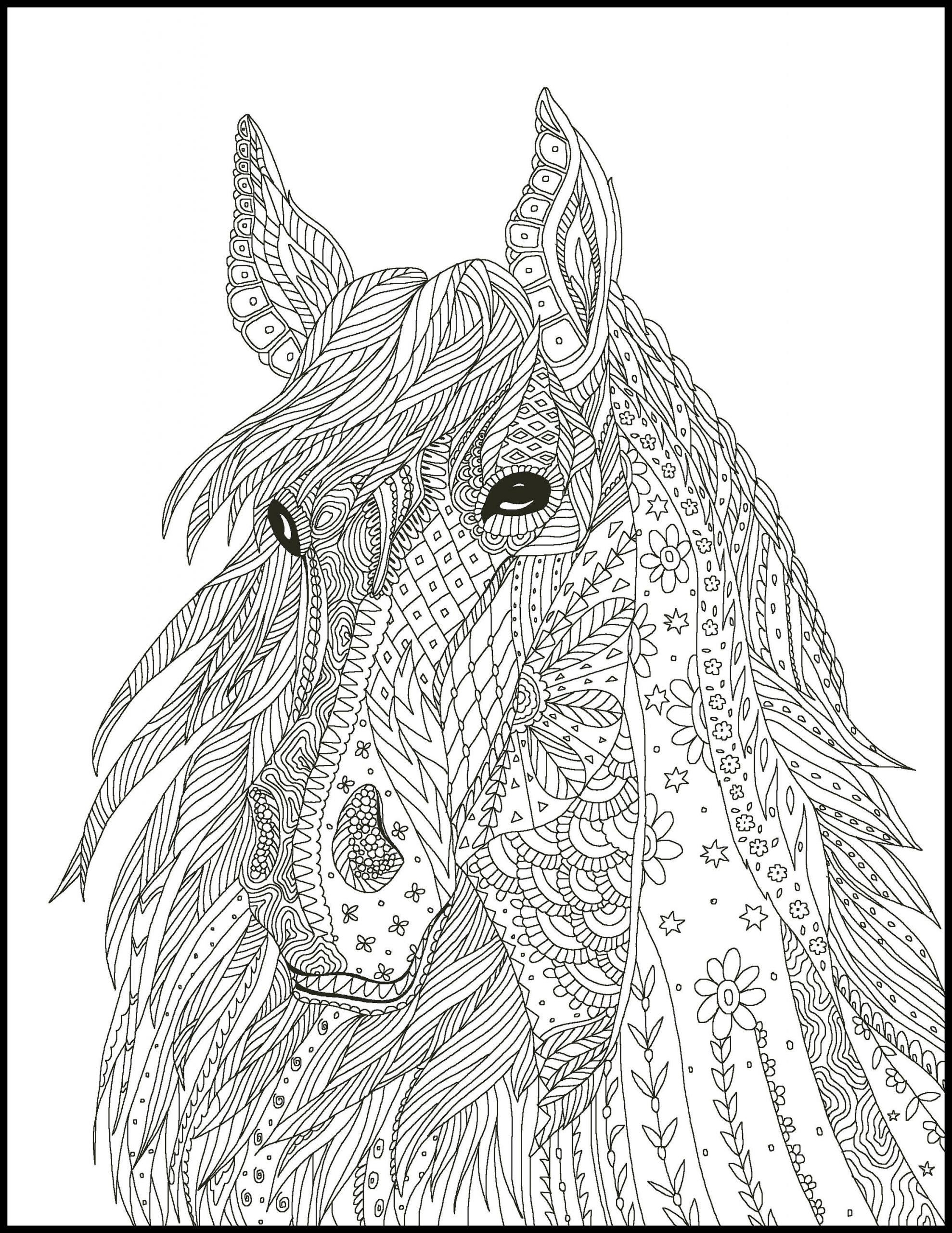 Adult Coloring Book Horse
 5 Horse Coloring Pages Coloring Pages for Horse Lovers
