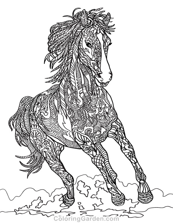 Adult Coloring Book Horse
 Horse Adult Coloring Page