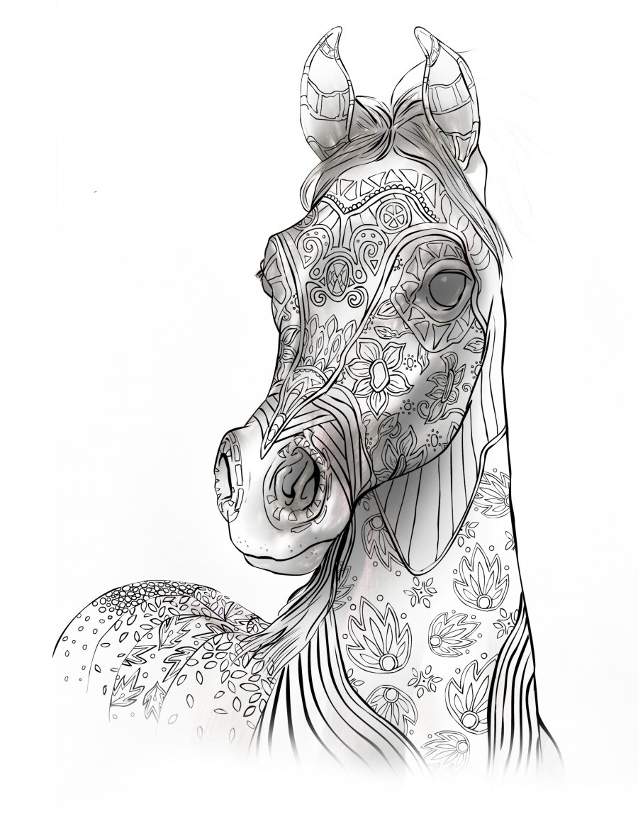 Adult Coloring Book Horse
 Coloring Books For Adults For Horse Lovers – The Magical