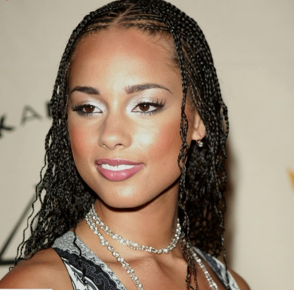 Alicia Keys Braids Hairstyles
 Alicia Keys braids hairstyles you will like Legit