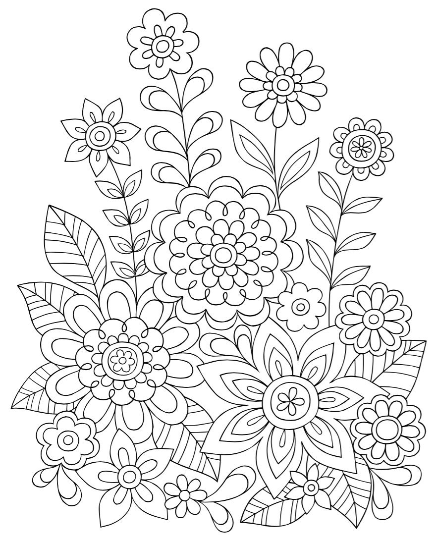 Amazon Adults Coloring Book
 Amazon New Guide to Coloring for Crafts Adult