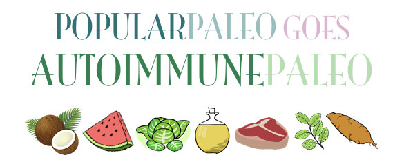 Anti Inflammatory Paleo Diet
 aip lifestyle