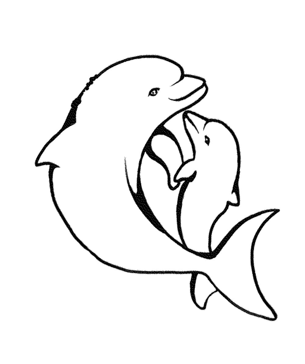 Baby Dolphin Coloring Pages
 Print & Download My Experience of Making Dolphin