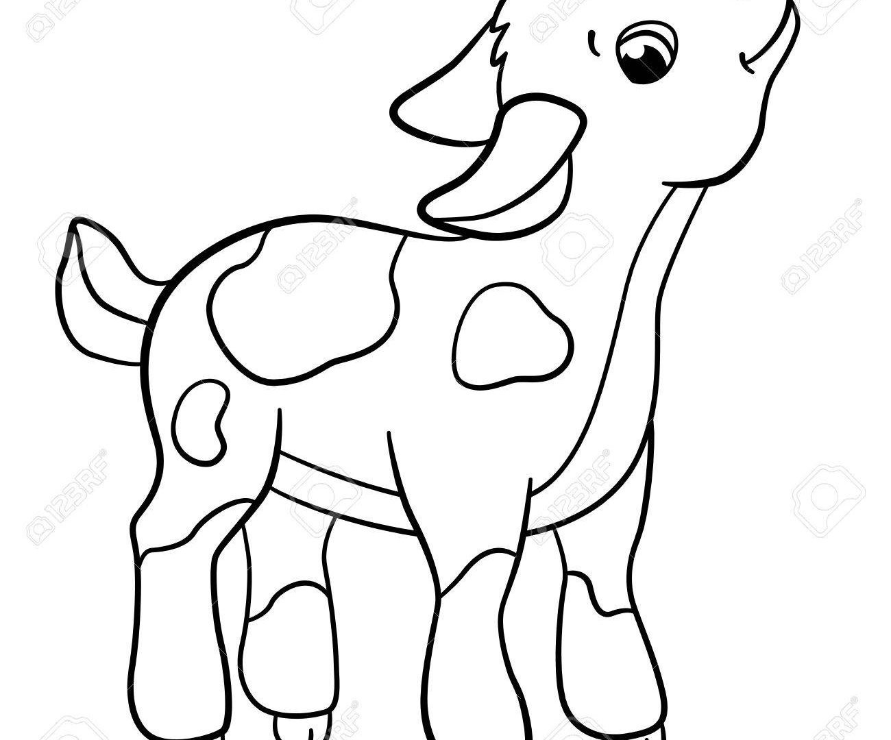 Baby Goat Coloring Pages
 Baby Goat Drawing