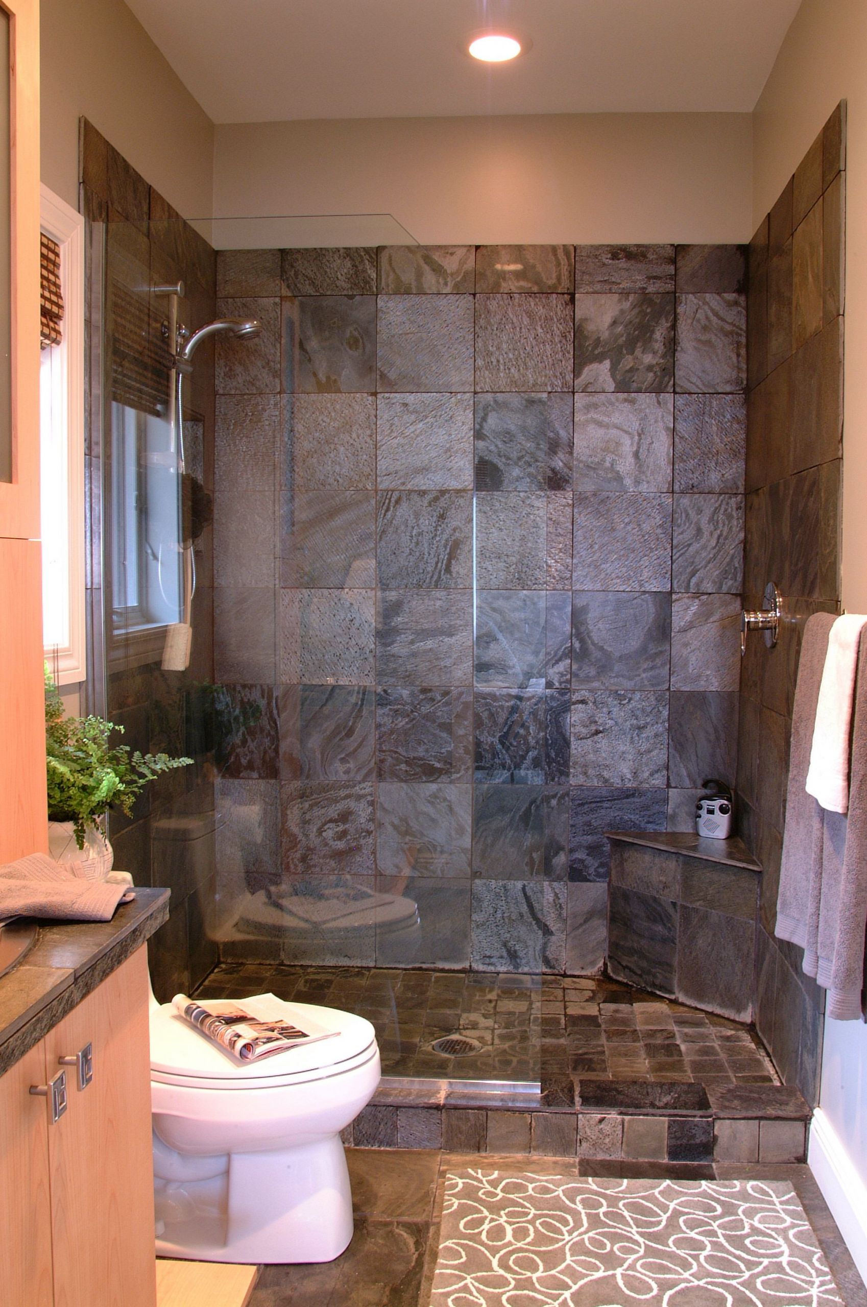 Bathroom Shower Stall Ideas
 No Door Walk in Shower Ideas and Facts You Must Know