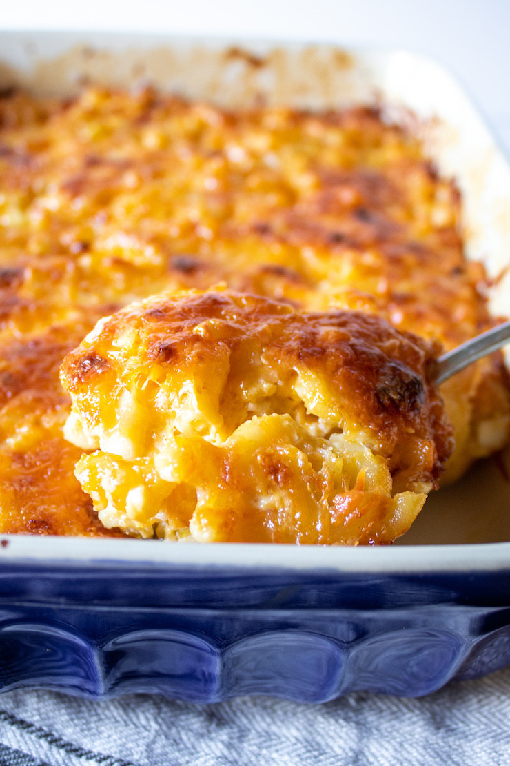 Best Macaroni And Cheese Recipe Baked
 Southern Baked Macaroni and Cheese the hungry bluebird
