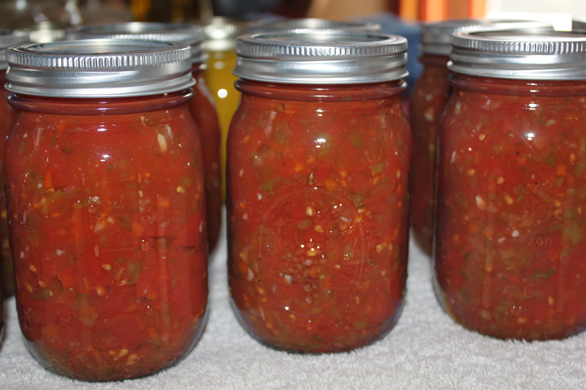 Best Salsa Recipe For Canning
 Canned Tomato Salsa Recipe — Dishmaps