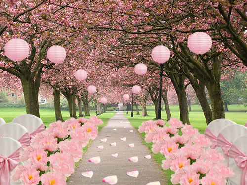 Cherry Blossom Wedding Theme
 Wedding Themes Wedding Style Cherry Blossom Wedding Theme