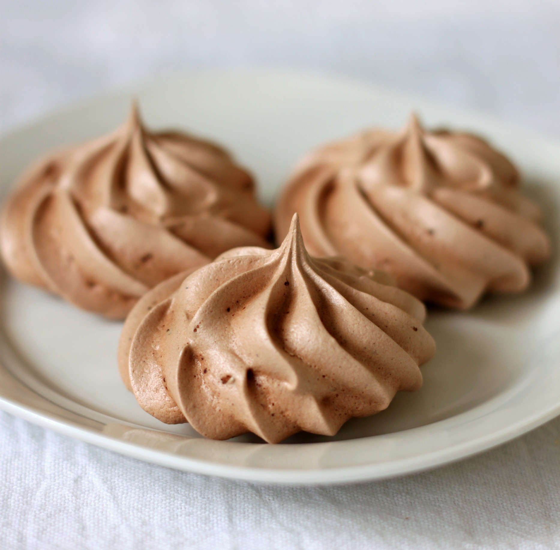 Chocolate Meringue Cookies
 Homemade Gifts for a Chocolate Lover on a Diet