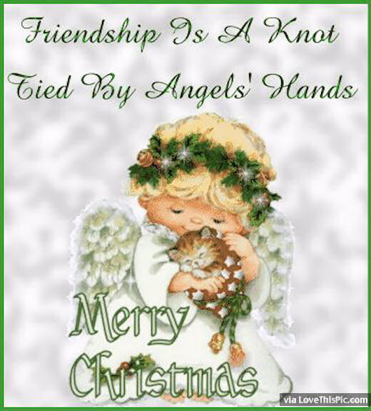Christmas Quotes Friends
 Friendship Is A Knot Tied By An Angels Hands Merry