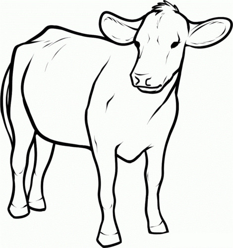 Cow Coloring Pages Free Printable
 30 Free Cow Coloring Pages Printable