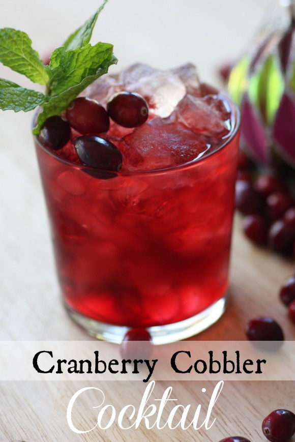 Cranberry Cocktail Recipes
 Cranberry Cobbler Cocktail Recipe