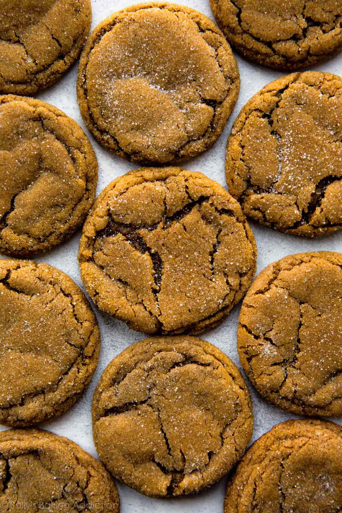 Dark Molasses Cookies
 Seriously Soft Molasses Cookies Sallys Baking Addiction