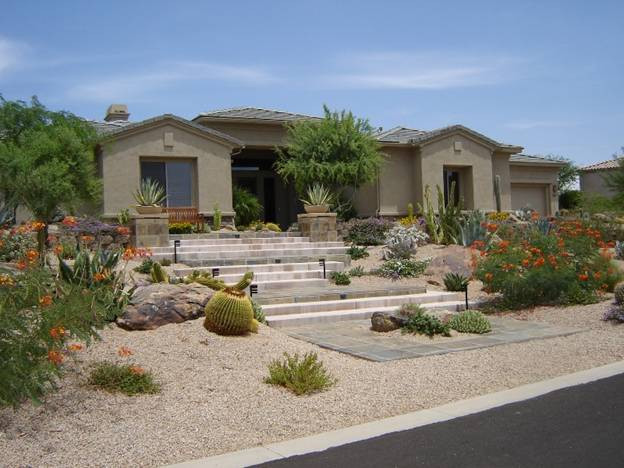 Desert Landscape Front Yard
 Plants for Dry Areas Desert Landscaping