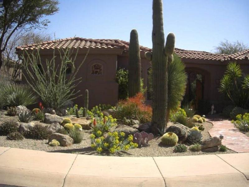 Desert Landscape Front Yard
 Landscape Design