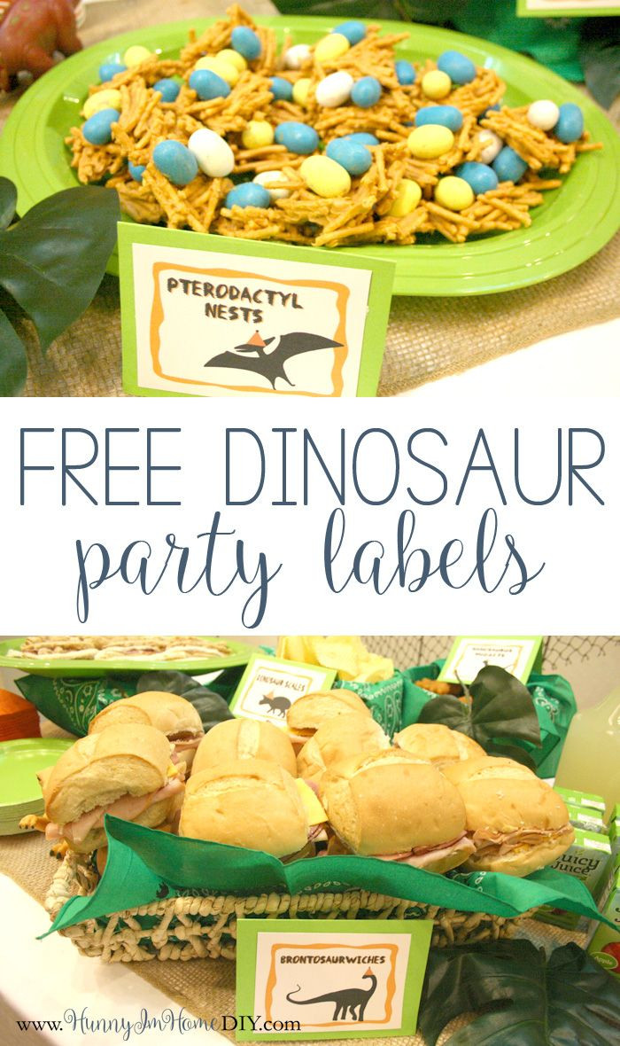 Dinosaur Food Ideas For Birthday Party
 My Dinosaur Birthday Party and a freebie