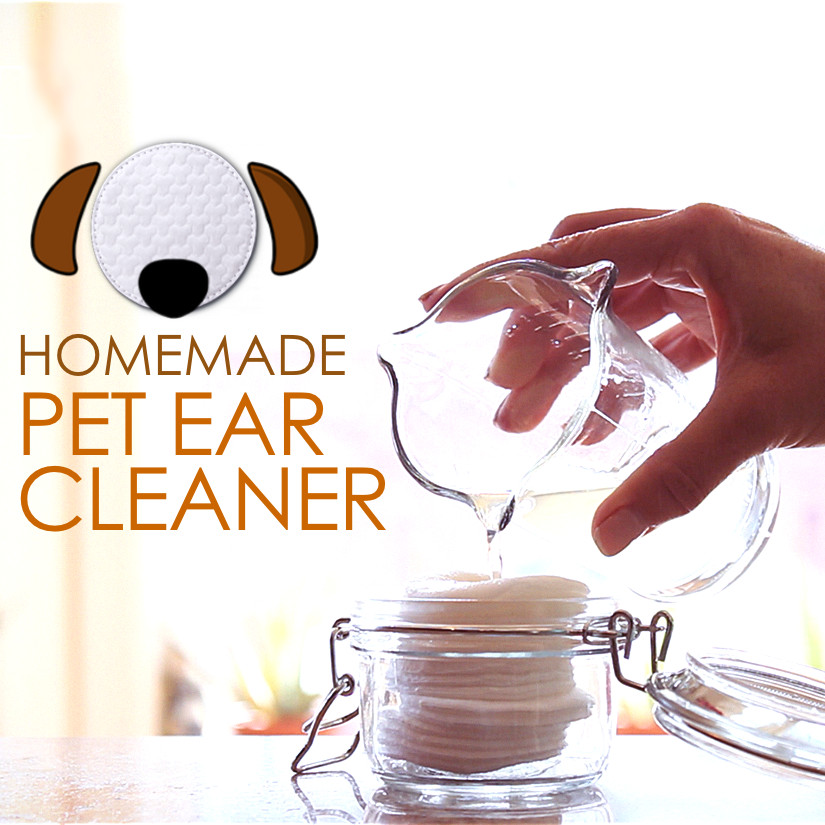 DIY Dog Ear Wash
 DIY EAR CLEANER FOR PETS Planet Paws