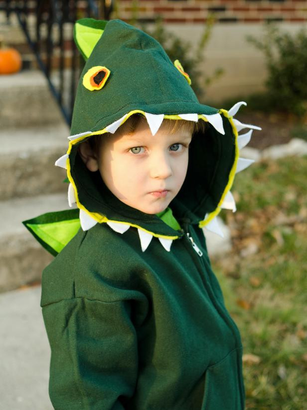 DIY Halloween Costumes For Toddler
 22 DIY Halloween Costumes For Kids Adults And Even Pets