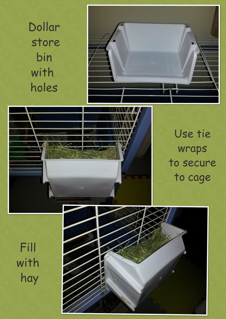 DIY Hay Rack
 1000 images about Hay rack litter box ideas on Pinterest