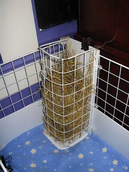 DIY Hay Rack
 39 best images about Hay rack litter box ideas on