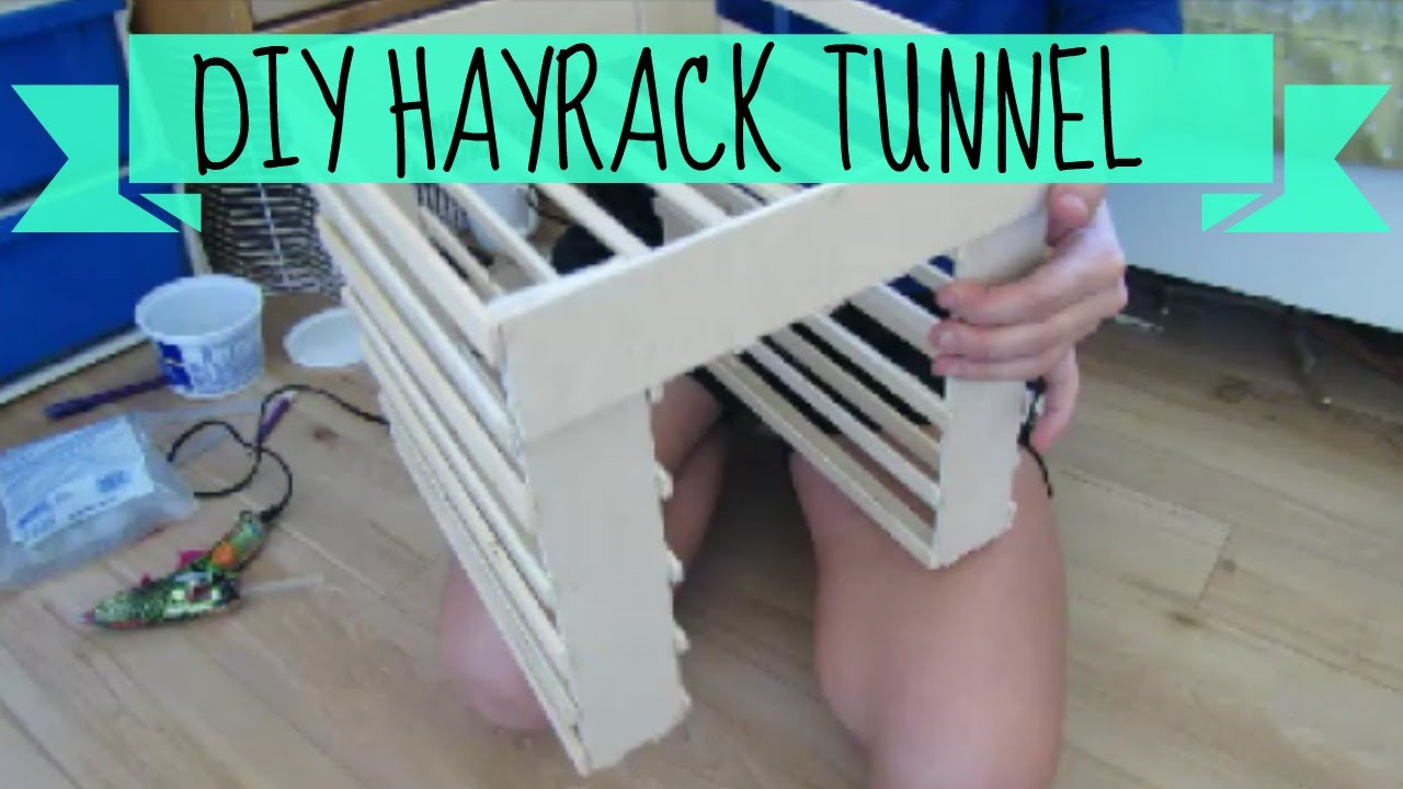 DIY Hay Rack
 Inspired By Imy s Animals DIY Hay Rack Tunnel