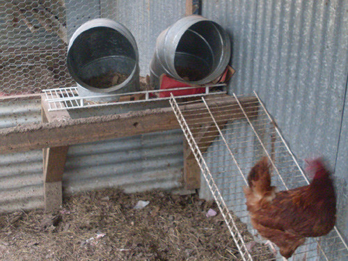 DIY Nesting Boxes For Chickens
 10 DIY Nesting Boxes Ideas From Around The World — Types