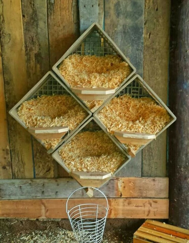 DIY Nesting Boxes For Chickens
 Top 10 Chicken Nesting Boxes