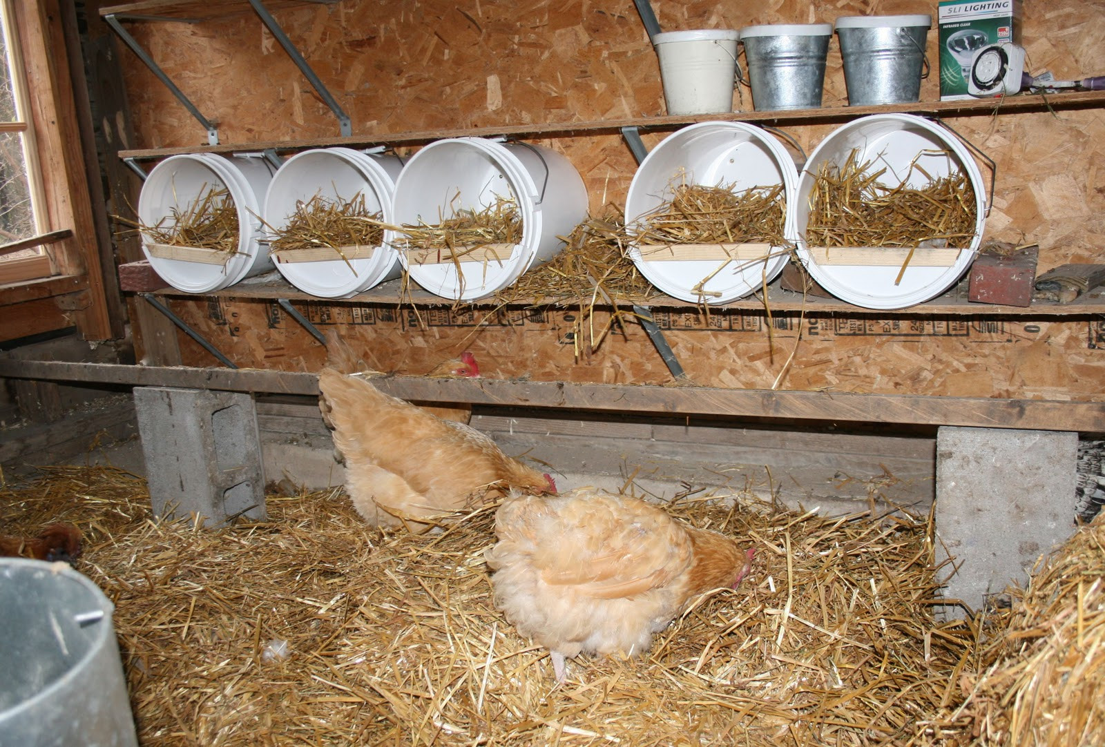 DIY Nesting Boxes For Chickens
 5 gallon buckets for nests Page 3