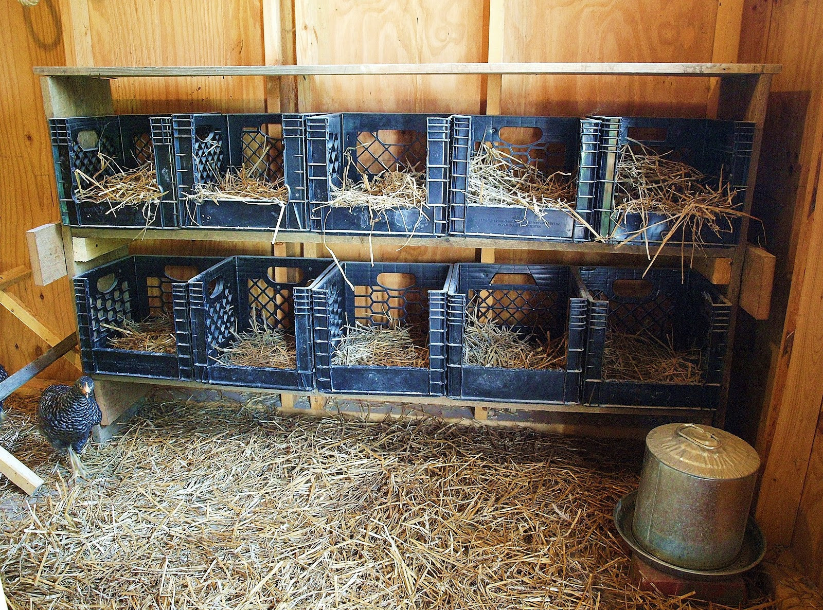DIY Nesting Boxes For Chickens
 Ohio Thoughts Building a Chicken Coop