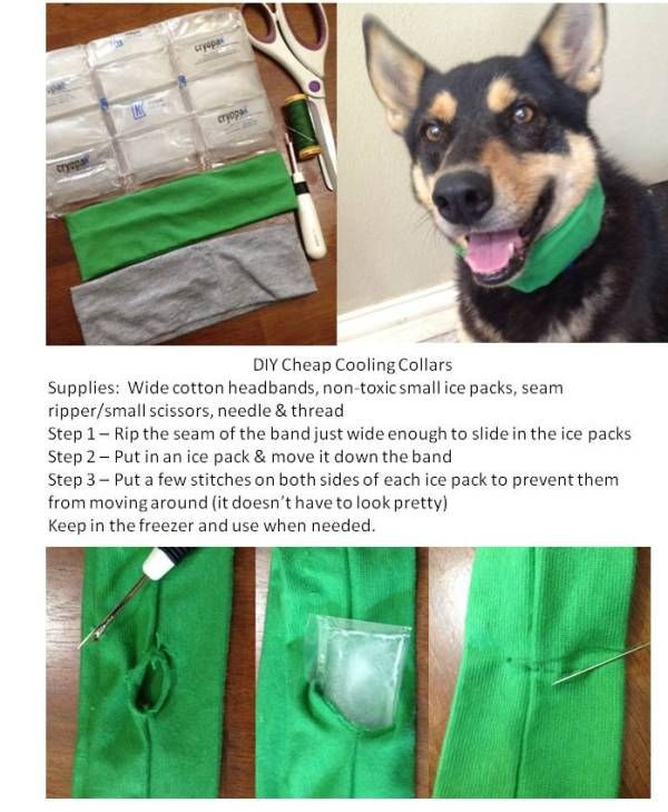 DIY No Jump Dog Harness
 DIY Dog Cooling Collar Dog DIY Summer