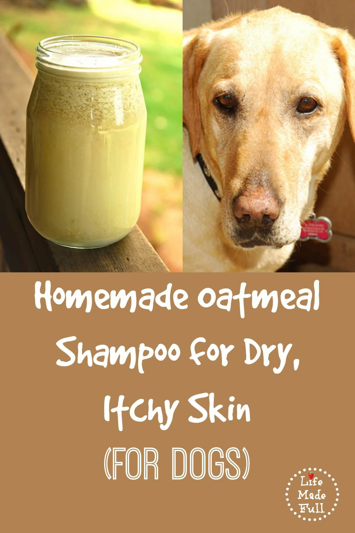 DIY Oatmeal Bath For Dogs
 The Best Homemade Shampoo for Dogs