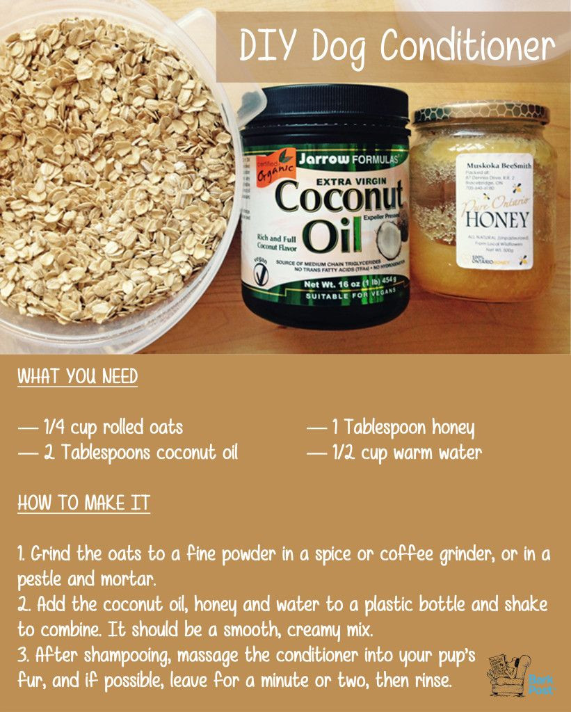 DIY Oatmeal Bath For Dogs
 5 All Natural DIY Grooming How Tos For Your Pup