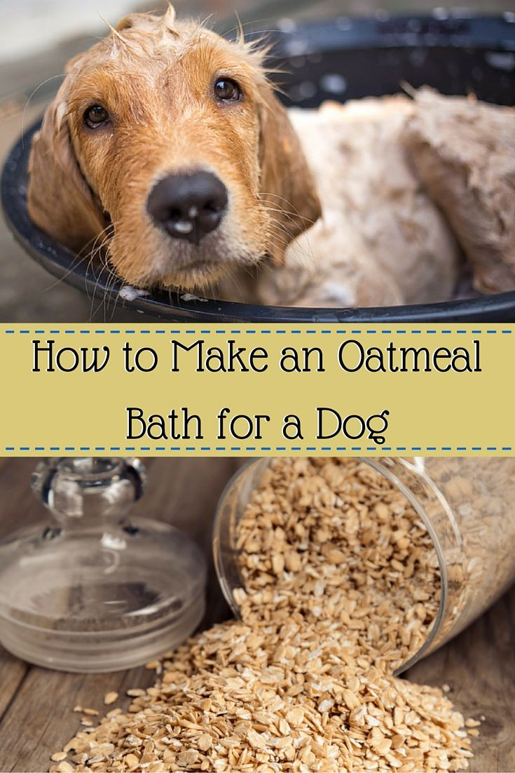 DIY Oatmeal Bath For Dogs
 If your dog has dry itchy skin then try an oatmeal bath