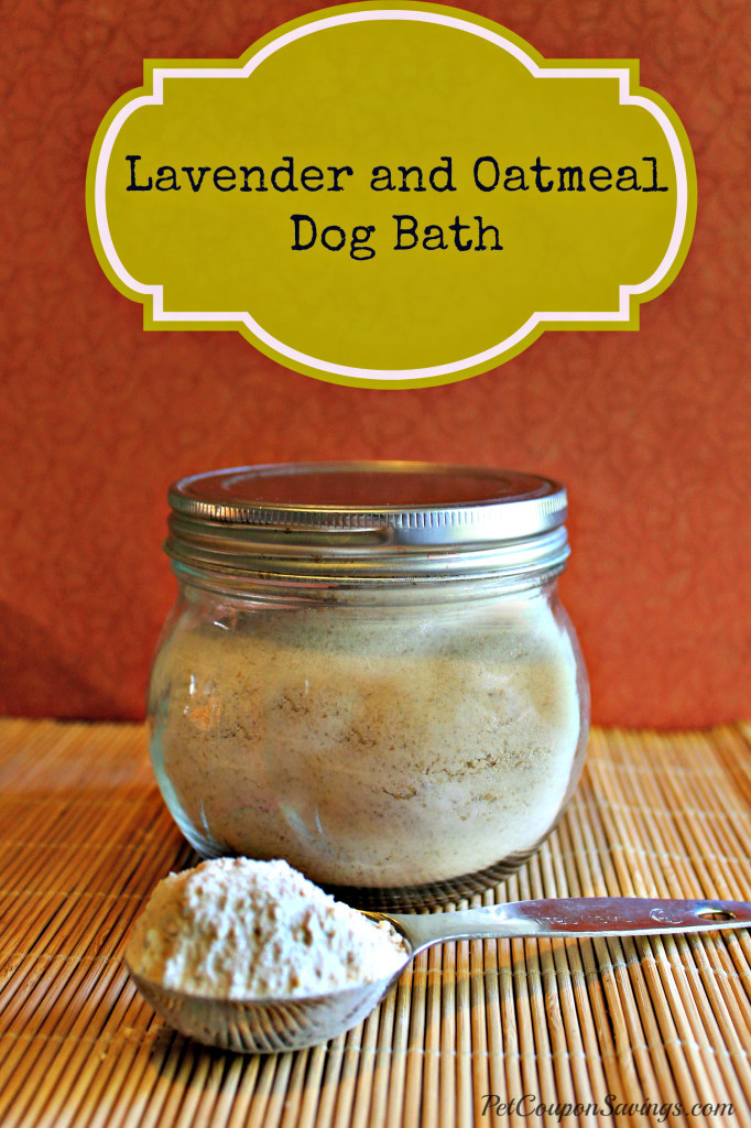 DIY Oatmeal Bath For Dogs
 Homemade Lavender and Oatmeal Dog Bath Pet Coupon Savings