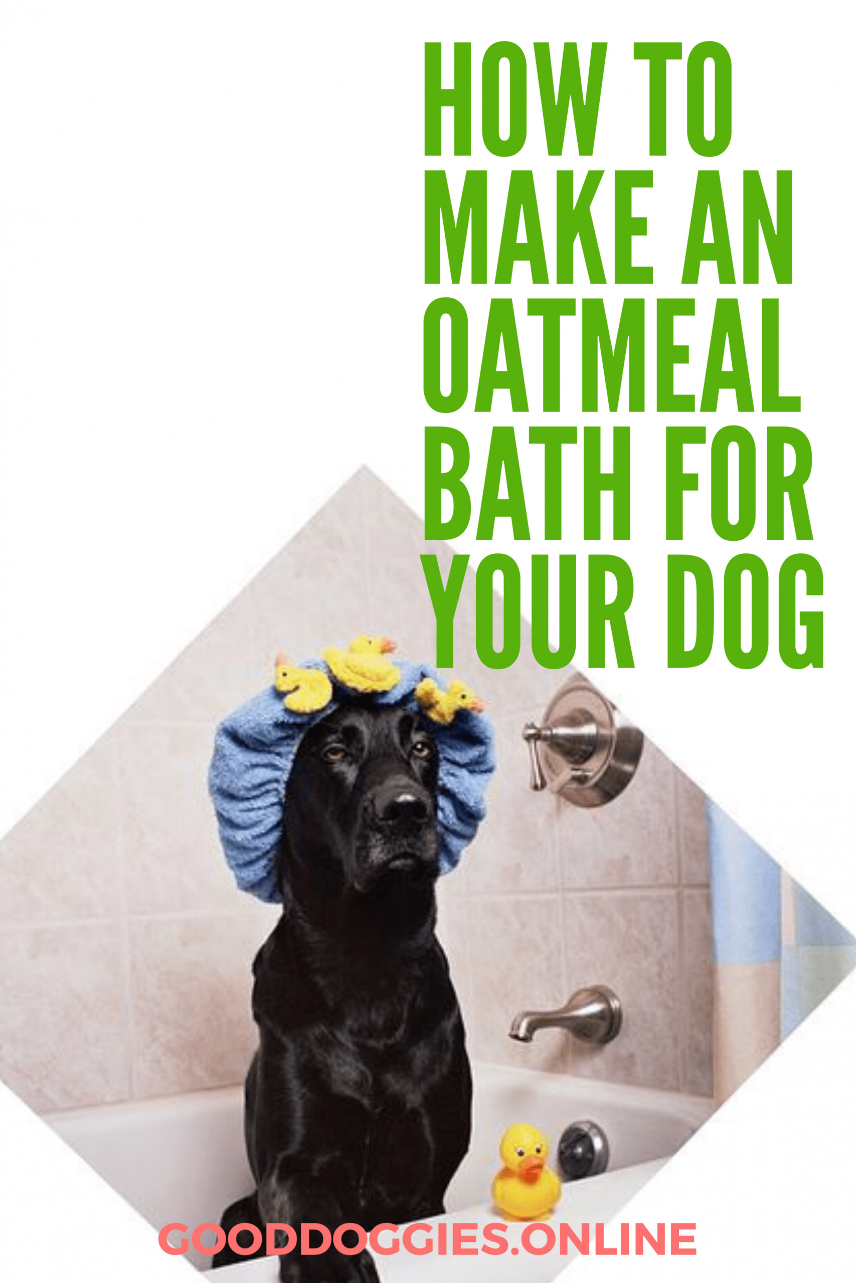DIY Oatmeal Bath For Dogs
 This is How And Why You Make an Oatmeal Bath For Dogs