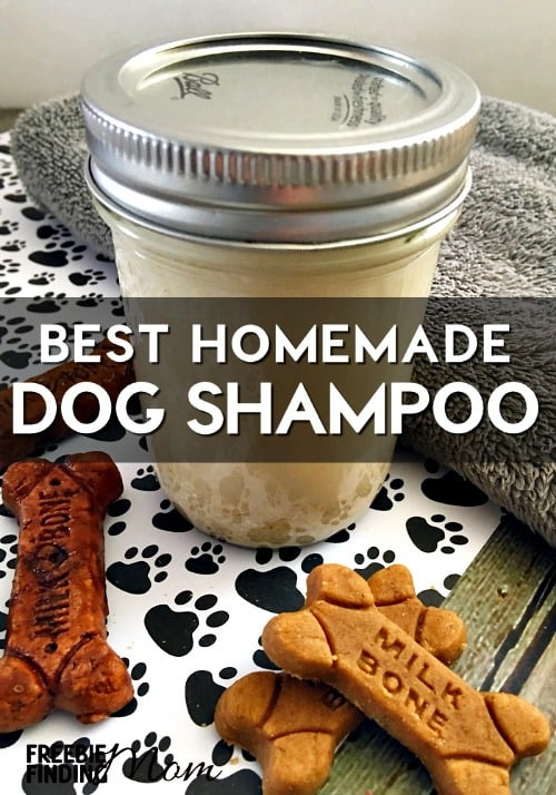 DIY Oatmeal Bath For Dogs
 Best Homemade Dog Shampoo All Natural Oatmeal Dog Shampoo