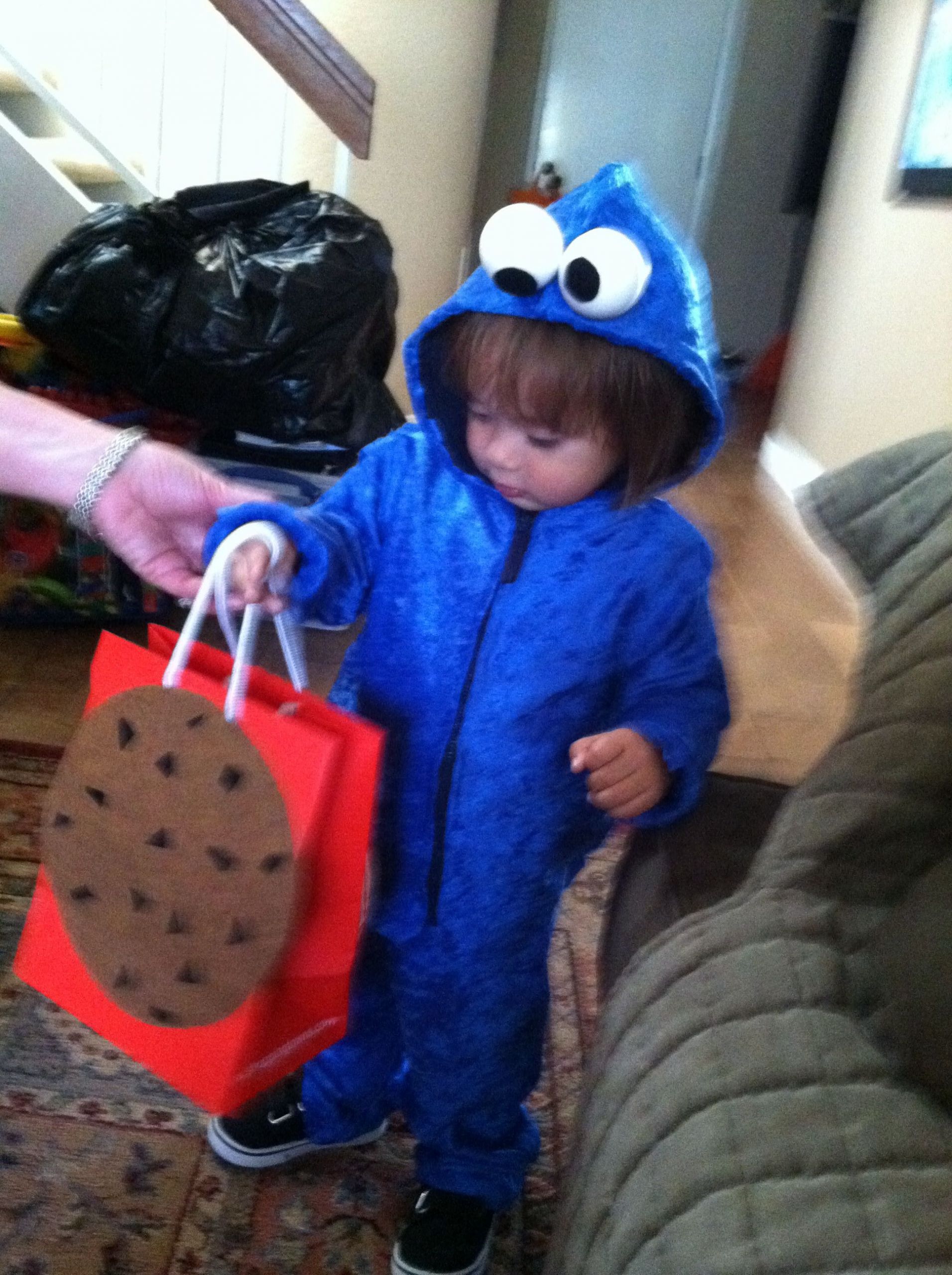 DIY Toddler Monster Costume
 DIY Cookie Monster costume for Jaxson