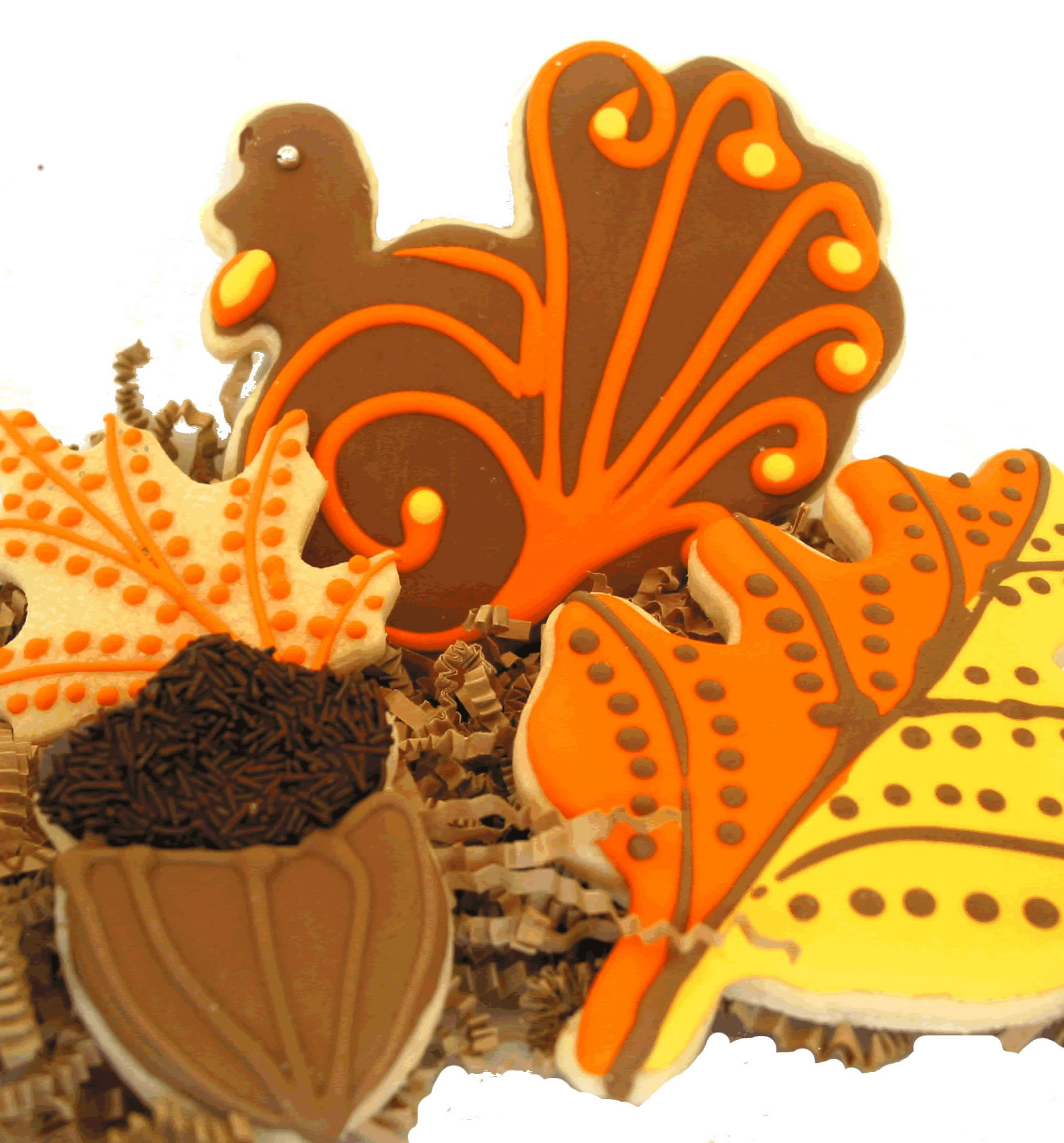 Fall Cut Out Cookies
 Festive Thanksgiving Cookies