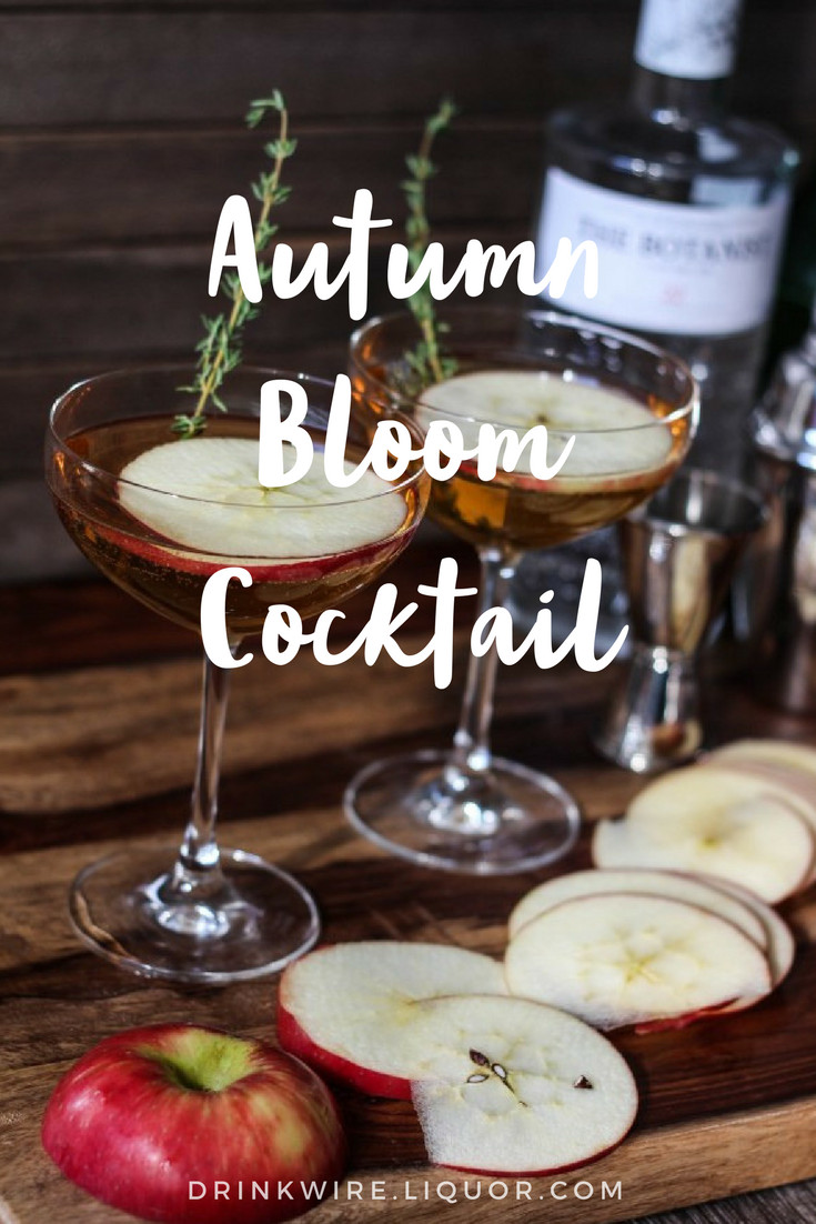 Fall Gin Drinks
 Gin Cocktails