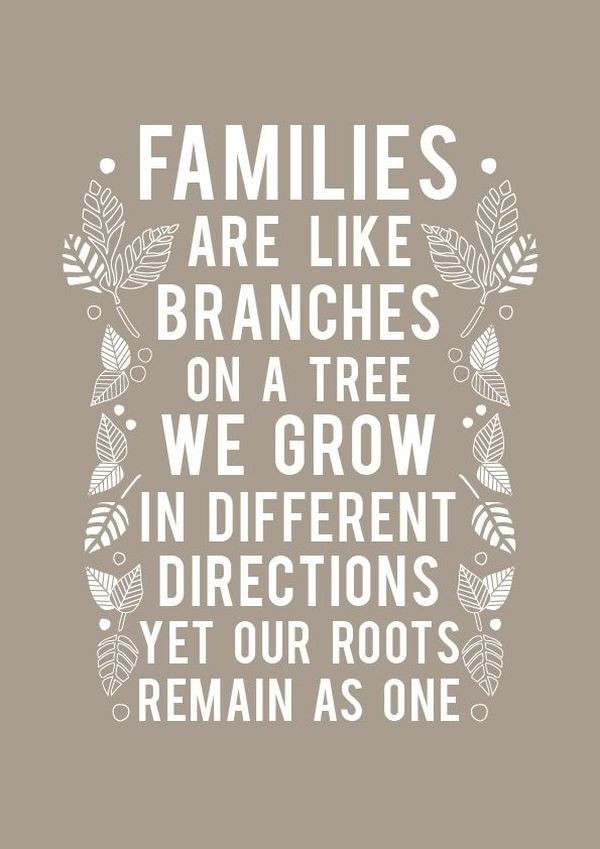 Family Quotes Picture
 Family Quotes 167 Short Love My Family Sayings