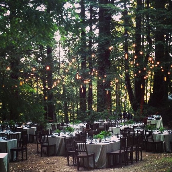 Forest Themed Wedding
 25 Whimsical Woodsy Forest Wedding Reception Ideas for