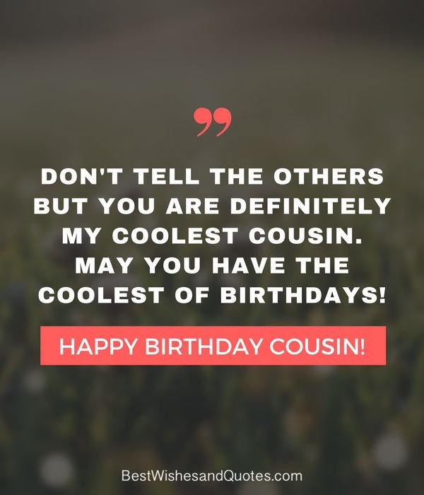 Funny Cousin Birthday Quotes
 Happy Birthday Cousin Quotes