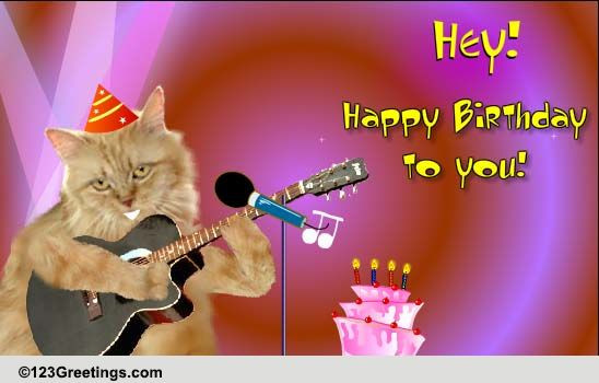 Funny Singing Birthday Cards
 Singing Birthday Cat Free Songs eCards Greeting Cards