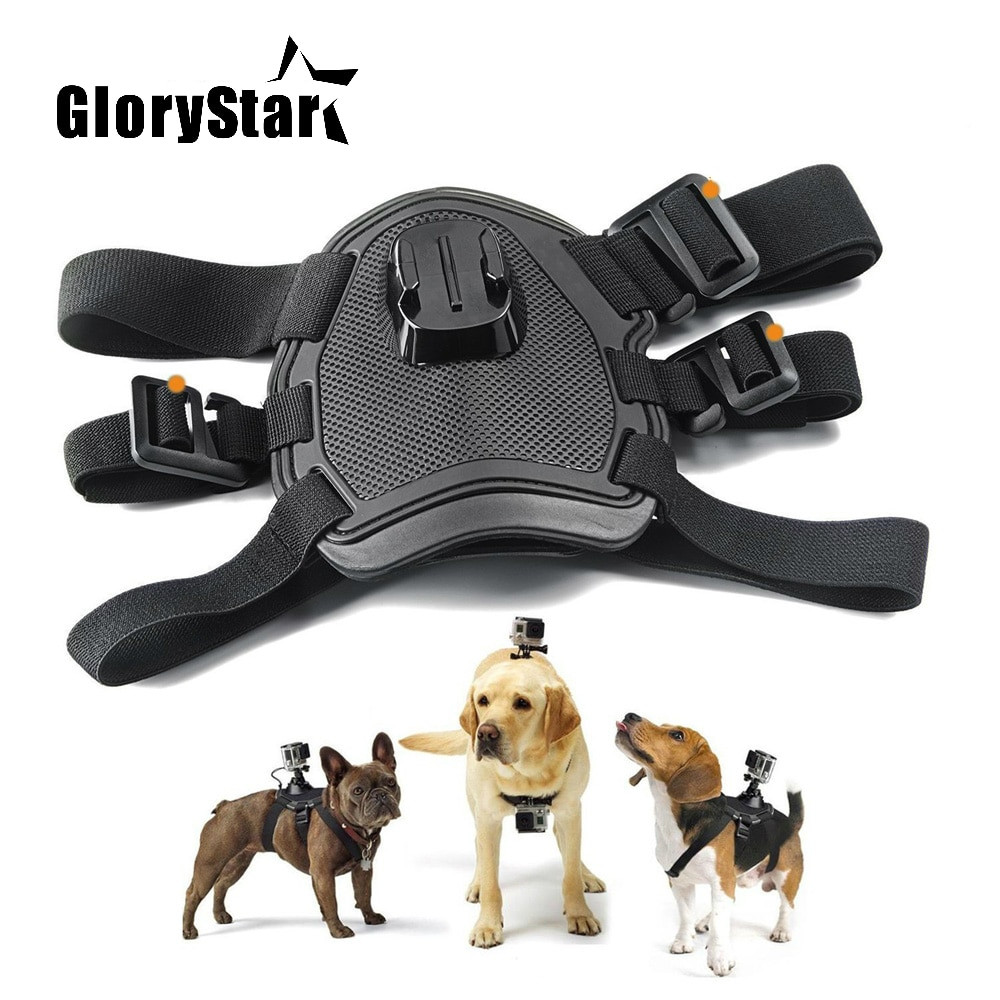 Gopro Dog Harness DIY
 GoPro Dog Harness Camera Mount Life Changing Products