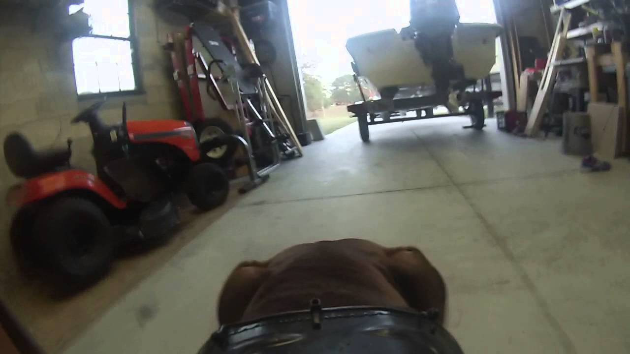 Gopro Dog Harness DIY
 GOPRO DIY dog harness