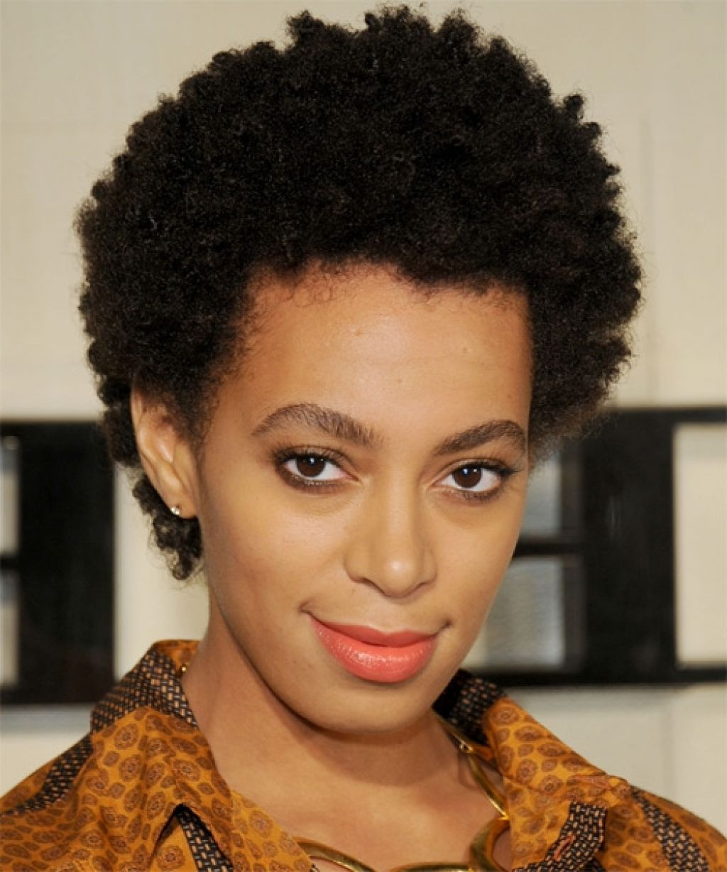 Hairstyles For Short Natural African American Hair
 Natural Hairstyles 16 Short Natural Hairstyles You Will