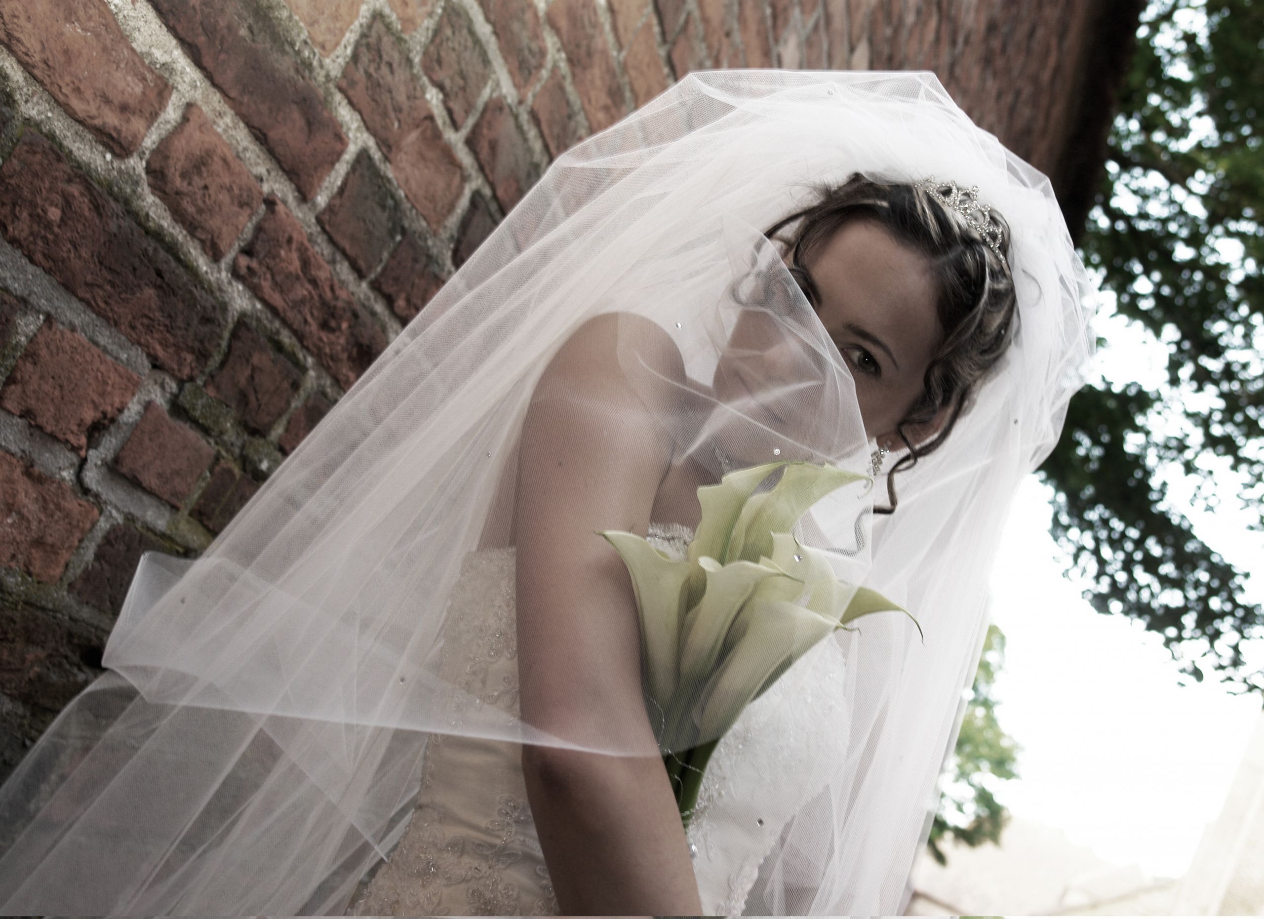 How To Make A Wedding Veil With A Tiara
 Cheap Bridal Veils With Tiaras Bridal Tiaras and Veils