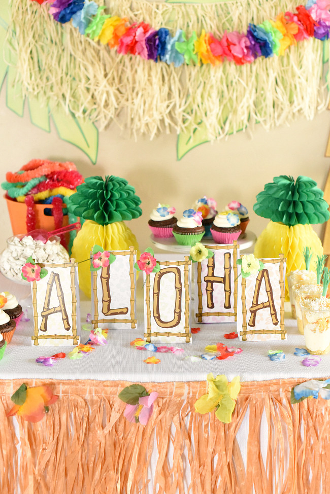 Inexpensive DIY Luau Party Decorations
 Easy Homemade Luau Decorations Easy Craft Ideas